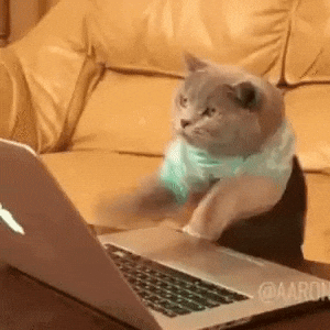 Coding in progress